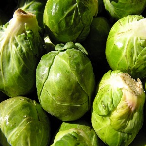 Brussels Sprouts - Cole crop
