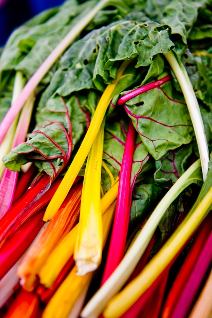 Rainbow Culinary Couture™ Swiss Chard - Swiss Chard 'Rainbow Culinary Couture™ ' from RFGN readingfeedandgardennew Upgrade