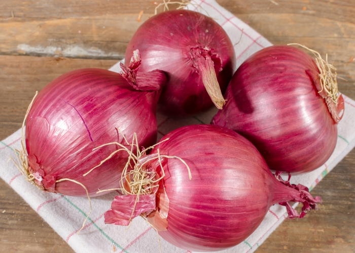 Onion - Allium cepa 'Red Wethersfield' from RFGN readingfeedandgardennew Upgrade