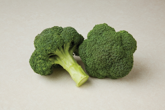 Broccoli - Brassica 'Durapak 16' from RFGN readingfeedandgardennew Upgrade